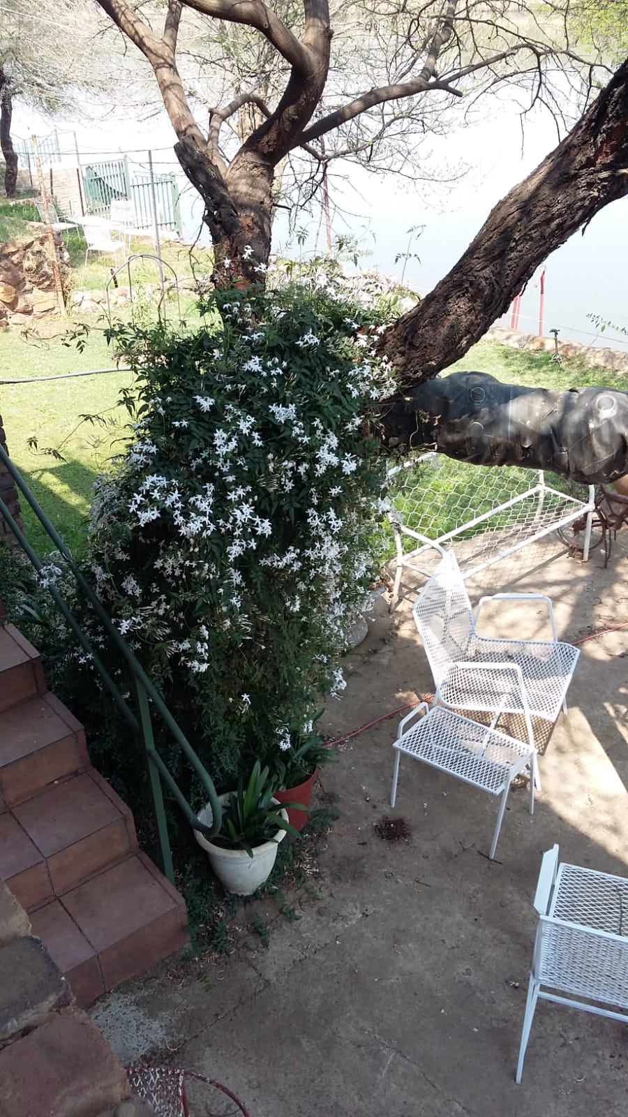 3 Bedroom Property for Sale in Bloemhof North West